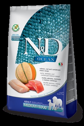 N&D Ocean Salmon, Codfish & Cantaloup melon - Medium & Maxi adult - 12 KG - Hundefoder